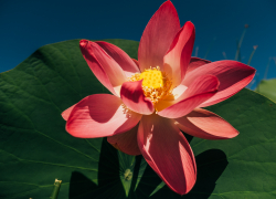 1 собор, 1 дом, 4 церкви: чем в Астраханскую область будут завлекать инвесторов туриндустрии 