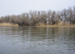 Статистика утонувших растёт: ещё один астраханец стал жертвой воды