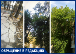 Астраханцы десять лет находятся в плену сухостоя