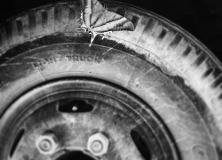 Уступите даме место: автоледи стала виновницей аварии и пострадала сама