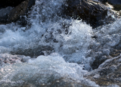 Для благоприятного нереста в Астраханской области продлили спецпопуск в низовьях Волги