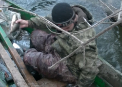 Служба природопользования поймала астраханца, рыбачившего на территории заказника «Икрянинский»