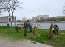 Астраханские скверы и парки готовят к сезону прогулок и празднованию 9 Мая