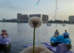 Прогноз погоды, именины, праздники в Астрахани в понедельник 19 июня