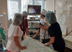 Проглотившую гвоздь годовалую астраханку вытащили с того света