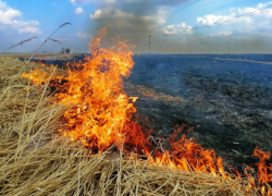 Астраханцам напоминают: за выжигание сухой травы грозят крупные штрафы