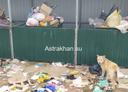 Власти астраханского села считают нормальной жизнь без света, воды и дорог