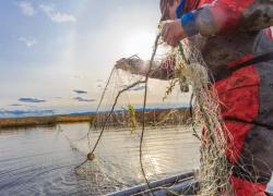 В Астраханской области двое сотрудников правоохранительных органов оказались браконьерами 