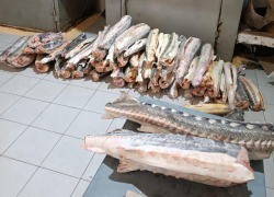 За приобретение краснокнижных осетров астраханцу предъявляют многомиллионный ущерб