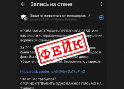 Фейк о массовом убийстве собак в Астрахани гуляет по соцсетям
