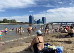 На острове Городской поселилась орда: астраханцы жалуются на платный въезд 