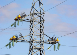 В Астраханской области поставят устройства для защиты птиц на линиях электропередач 