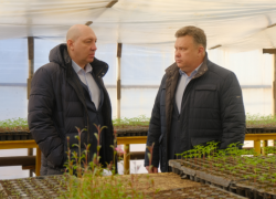 В Астрахани модернизируют цветочные теплицы