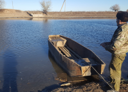 Запрет на вылов воблы в Астраханской области могут продлить