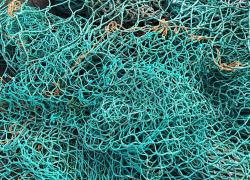 В Астраханской области сотрудник исправительной колонии и полицейский оказались браконьерами