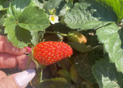 Погода, праздники, именины в понедельник 2 октября 