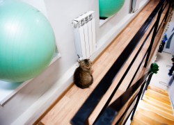 Закрытые турбазы, фитнес-залы и школы: что ждет астраханцев в нерабочую неделю