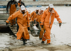 Мероприятие-спутник Конгресса молодых ученых укрепит научные связи Астрахани