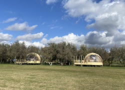 Погода, праздники, именины в воскресенье 15 октября