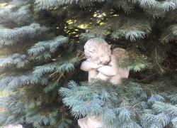 Прогноз погоды, именины, праздники в Астрахани в пятницу 26 мая