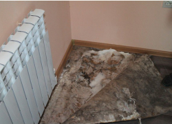 В Астрахани директор фирмы похитил более 5,5 миллионов рублей