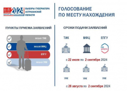 Астраханцам предложили удобный вариант голосования на выборах губернатора