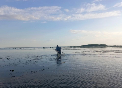 В Астрахани заявили о падении уровня Каспийского моря