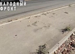 В Астрахани из асфальта на Энергетической проросли сорняки