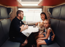 Онлайн-продажи билетов на поезда дальнего следования выросли на 3,8% в 2025 году