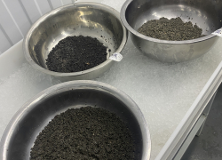 Астраханская область стала больше экспортировать один из самых дорогих деликатесов