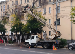 В Астрахани продолжаются работы по опиловке деревьев