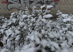 В Астраханской области местами ожидают заморозки