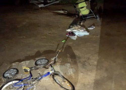 Трое детей пострадали под колёсами «пьяной» Оки 