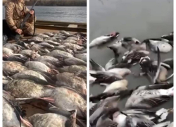 50 оттенков серого: астраханская база отдыха попала в немилость депутатов Госдумы