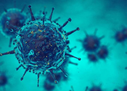 За 2 октября в Астраханской области выявлено 40 случаев заражения COVID-19