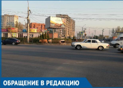 По Астрахани бродят коровы
