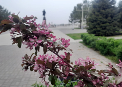 В субботу астраханцев ждет адская жара