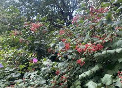 Прогноз погоды, именины, праздники в пятницу 8 сентября 