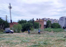 Городские власти избавляют Астрахань от сорной растительности  