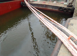 В Трусовском районе Астрахани обнаружили маслянистое пятно на поверхности Волги