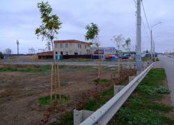 В Астрахани создают все больше зеленых зон