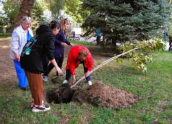 В Астрахани пенсионеры и молодежь высадили в Братском саду символичные деревья