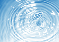 В Астраханской области в реке обнаружили бактерии холеры