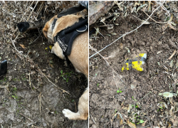 Москвич приехал в Астрахань подзаработать на распространении наркотиков