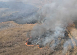 «Жги не хочу»: астраханский заповедник вновь страдает от природных пожаров