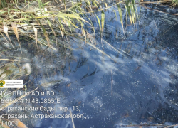 Владельца трубы на ерике в Астрахани обяжут возместить экологический ущерб