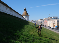 Зелень Астраханского кремля обретает форму и красоту