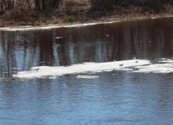 В Астраханской области судоводитель врезался в лед на реке и пострадал