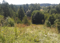 За пожароопасный сезон в Астраханской области было совершено 177 нарушений