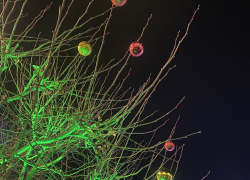 Погода, праздники, именины в пятницу 5 января 